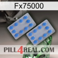 Fx75000 20